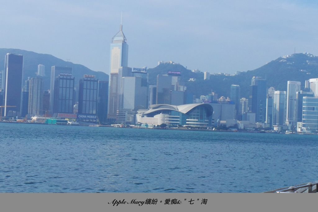 照片 (39)