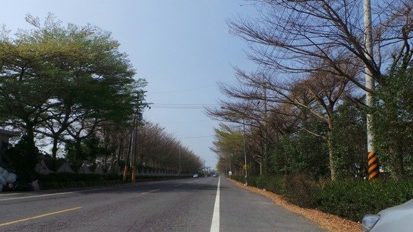 秀英肉粿：東港一日遊