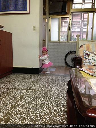 IMG_3073