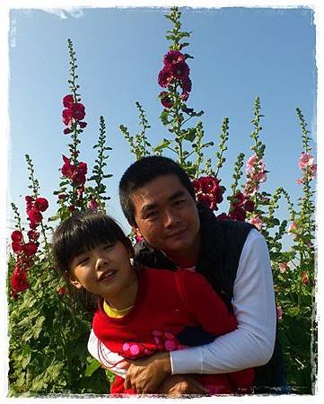 87.jpg