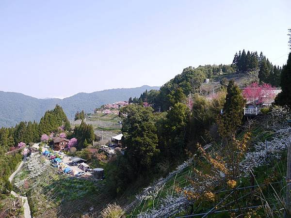 P1060124.JPG