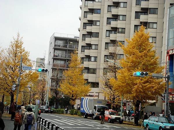 20111123nihonni