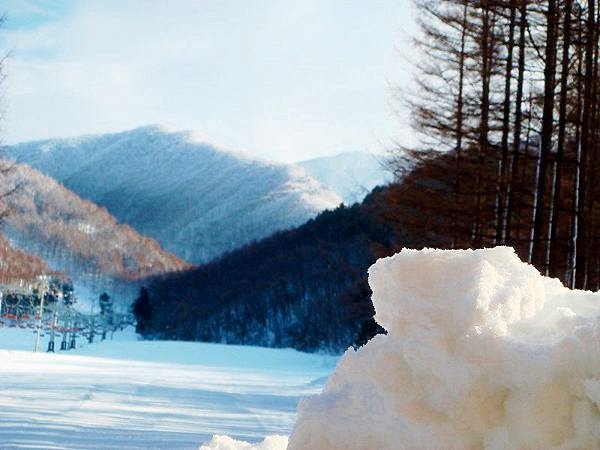 20080303touhoku