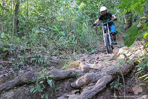 20141112_Biking in Chiangmai 7