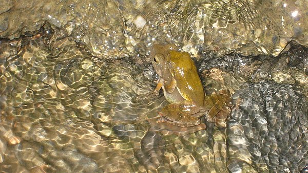 IMG_0551.JPG