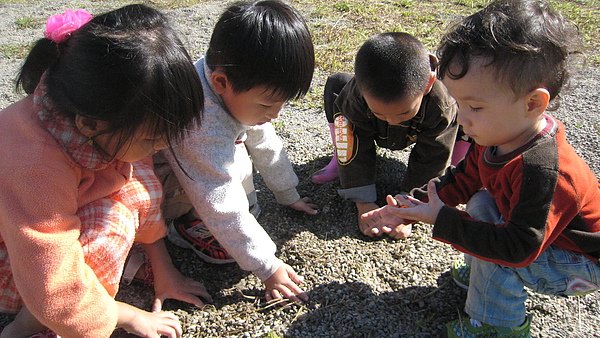 IMG_2625.JPG