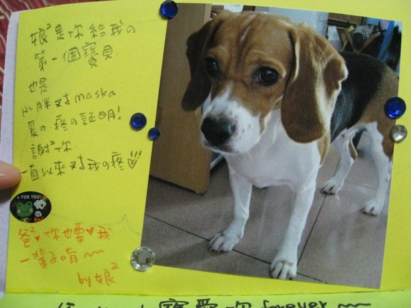 不過這次精緻多了