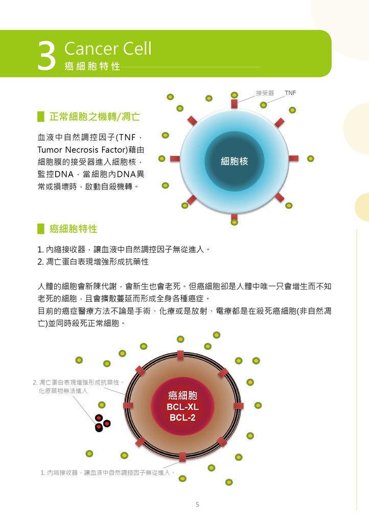 盛德信 康愛衛教手冊5.jpg