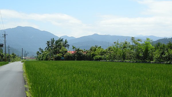 DSCN0606.JPG