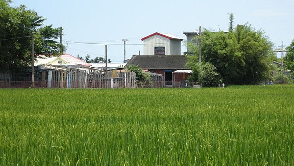 DSCN0625.JPG