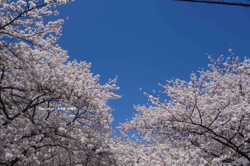 DSC01034-S_副本.jpg