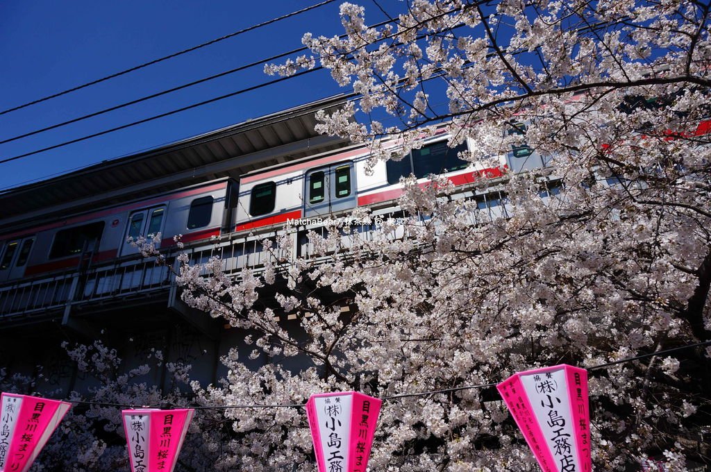DSC03368-S_副本.jpg