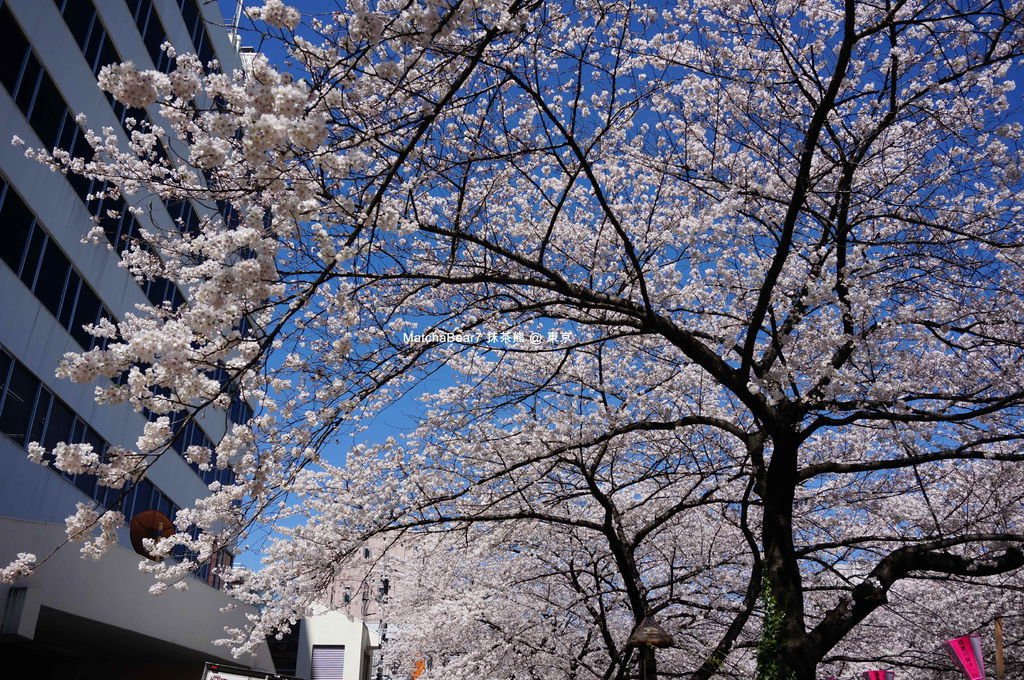 DSC03385-S_副本.jpg