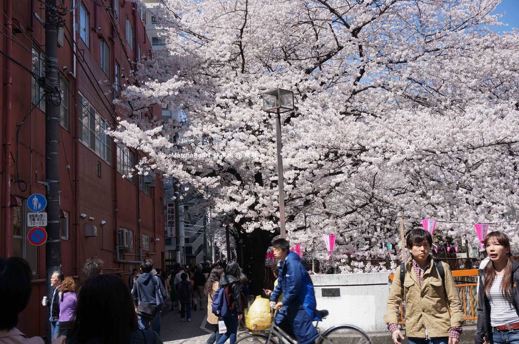DSC03484-S_副本.jpg
