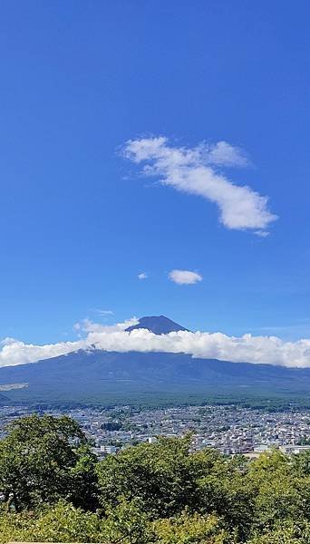 新倉山頂公園富士山景.jpg