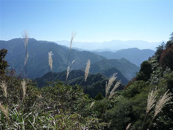P1100820.JPG