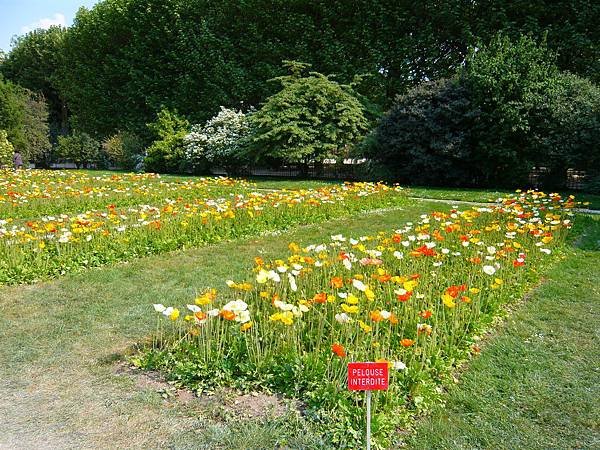 Jardin des plantes