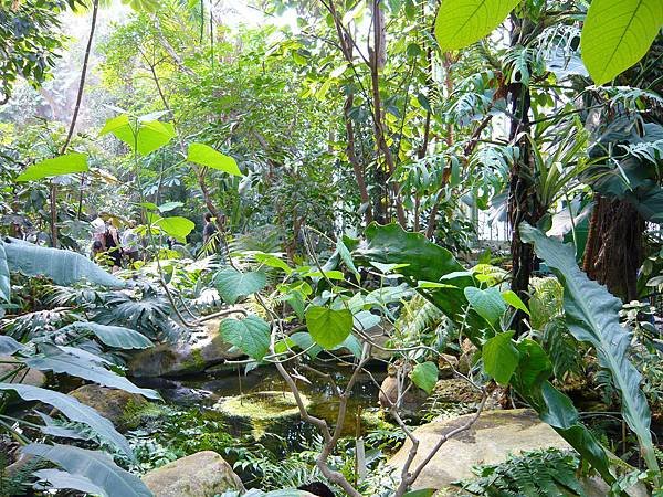 植物園的溫室