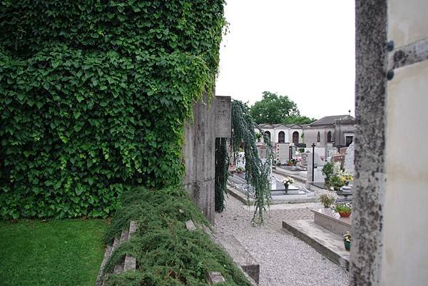 IMGP6324