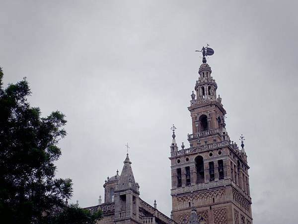 IMGP4538