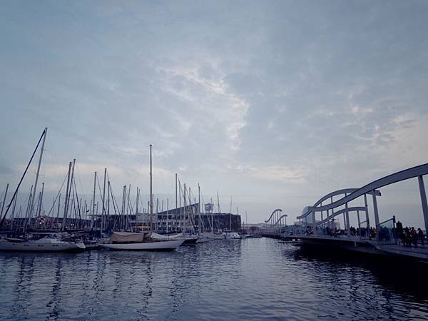 IMGP4940