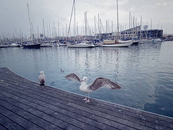 IMGP4942