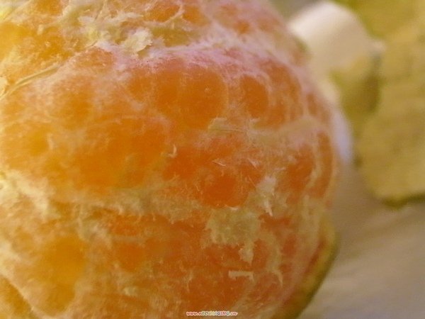 _0014479.JPG