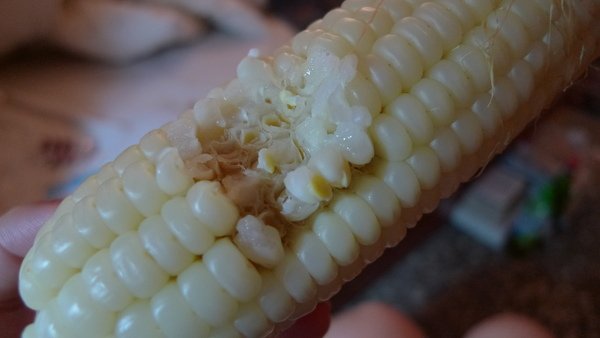 P1050471.JPG