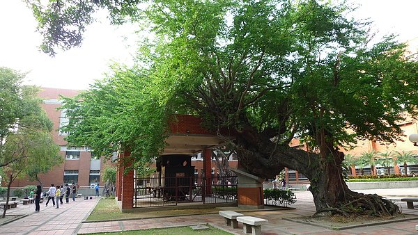 P1070875.JPG