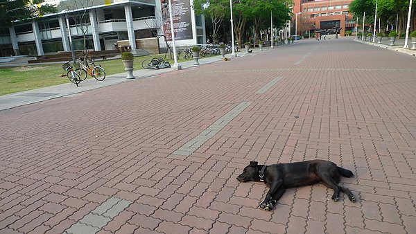 P1070882.JPG
