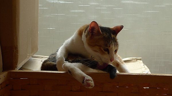 P1080132.JPG