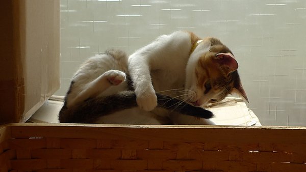 P1080134.JPG