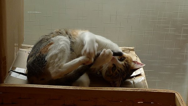 P1080138.JPG
