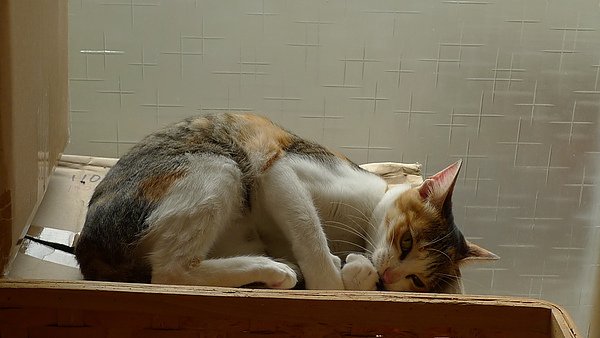 P1080139.JPG