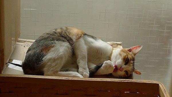 P1080140.JPG
