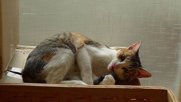 P1080141.JPG