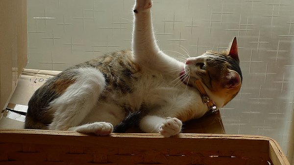 P1080142.JPG
