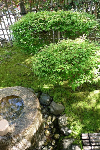 P1090320.JPG