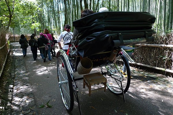 P1090254.JPG