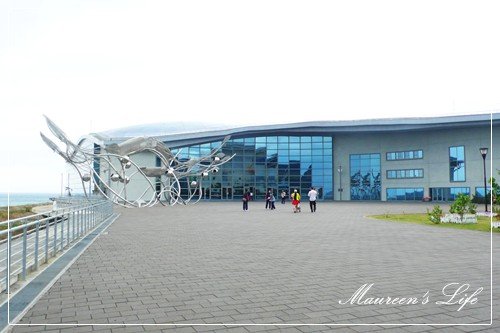 P1190308.jpg