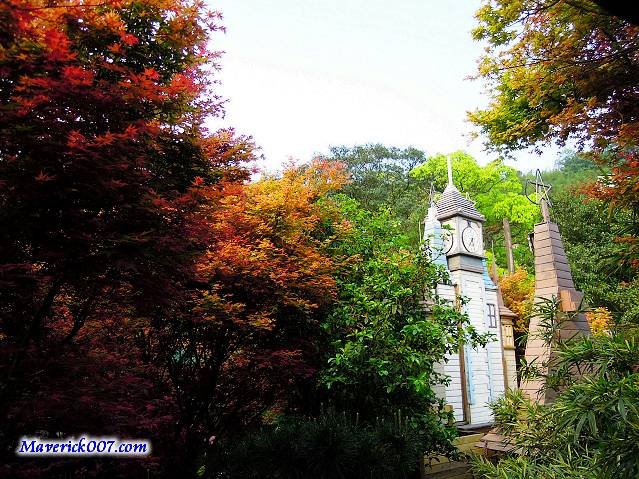 DSCN1158.jpg
