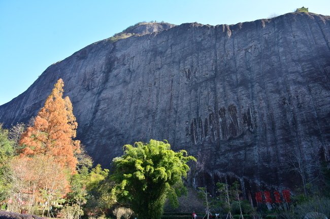 【我的福建暖身2】武夷山1