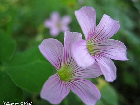 IMG_4936-11.jpg