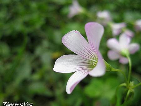 IMG_4998-11.jpg