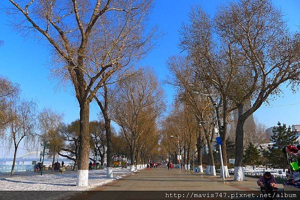 P1160524.JPG