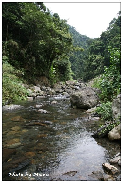 麥巴萊2.jpg