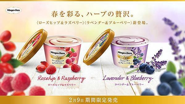 haagendazs-herb-03