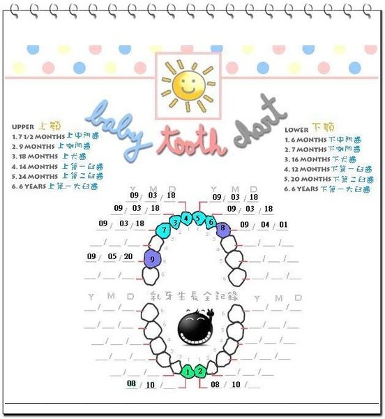 tooth chart.JPG