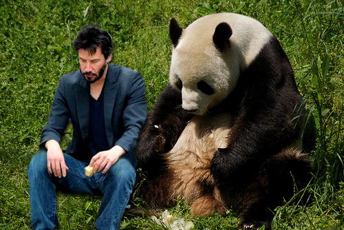 keanu-reeves-and-panda