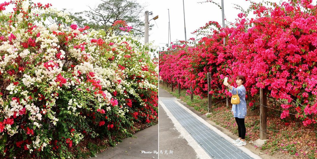 IMG_9105_調整大小.jpg